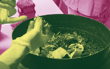 Formation-vente lombricompostage