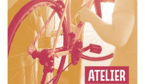 Un programme d’activités concocté juste pour vous