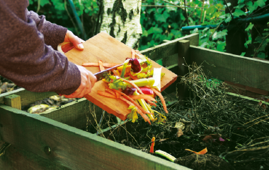 Les bons gestes pour réussir mon compost